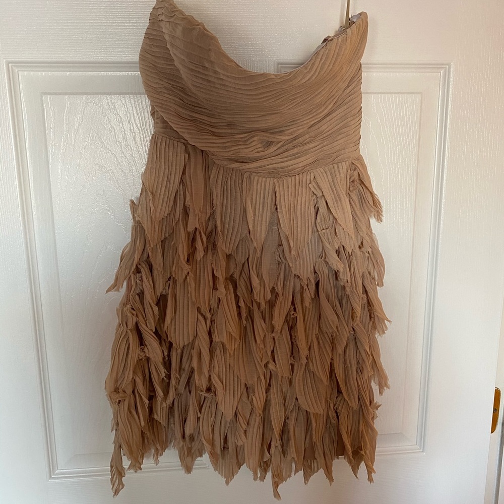 Luluvia Chiffon Toupe Shredded dress